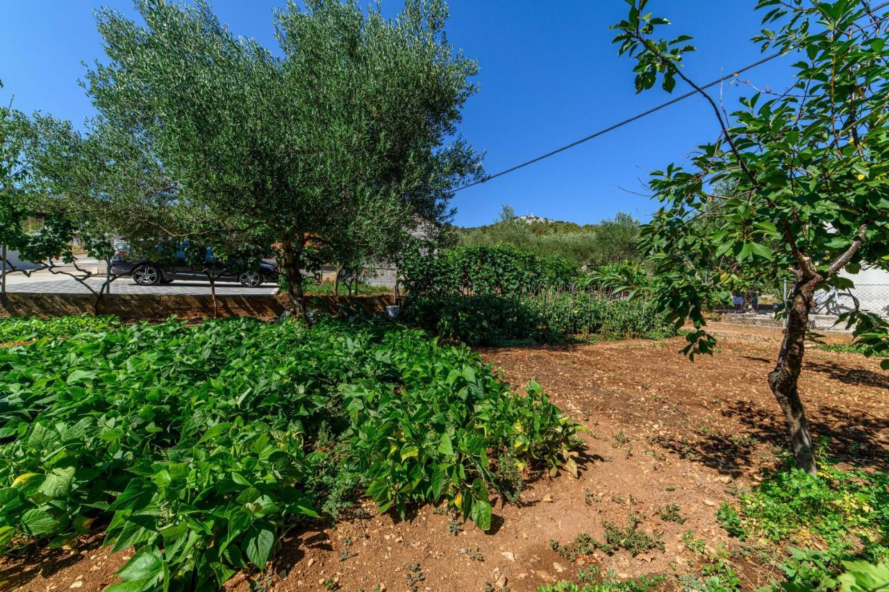 Apartman Maslina Šibenik Exterior foto